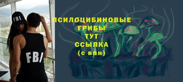 ПСИЛОЦИБИНОВЫЕ ГРИБЫ Арсеньев