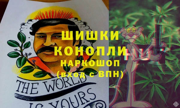 ПСИЛОЦИБИНОВЫЕ ГРИБЫ Арсеньев