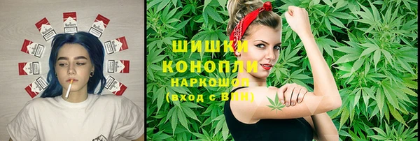 ПСИЛОЦИБИНОВЫЕ ГРИБЫ Арсеньев