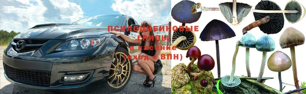 ПСИЛОЦИБИНОВЫЕ ГРИБЫ Арсеньев