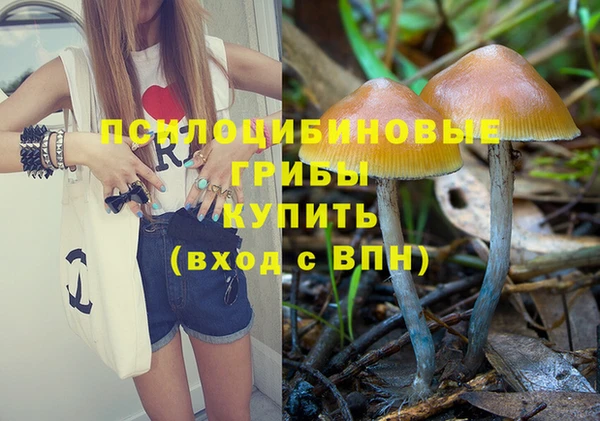 ПСИЛОЦИБИНОВЫЕ ГРИБЫ Арсеньев