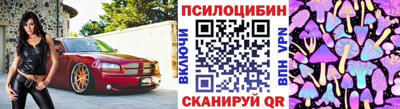 Галлюциногенные грибы Psilocybe  omg рабочий сайт  Канаш 